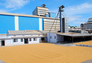 rice mill 08022018 2