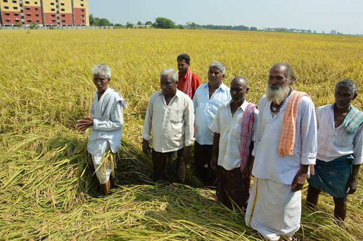 pattiseema 20112018